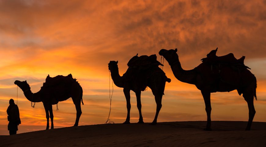 Evening Desert Safari Basic Package Dubai
